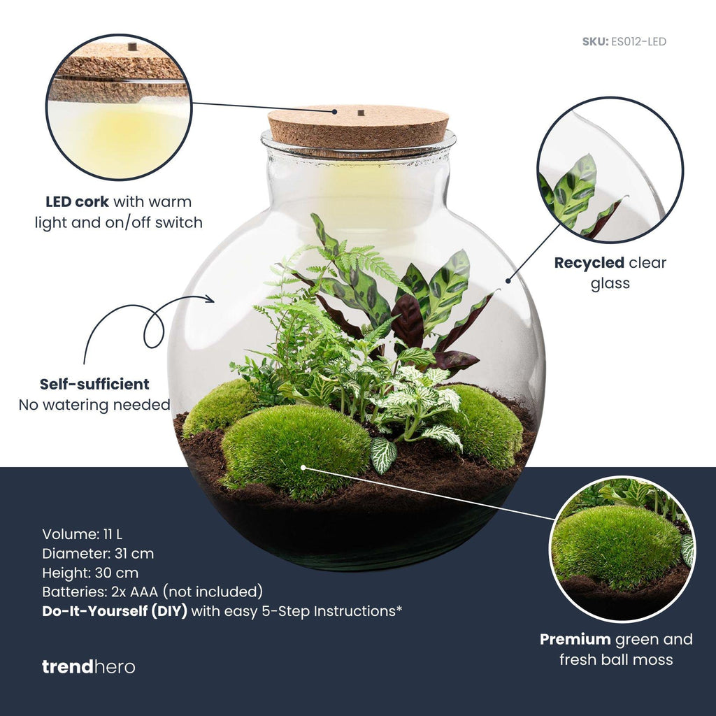 DIY Planten terrarium (met verlichting) - Bolder Bob - Ø 31 cm ↑ 30 cm - Met LED-kurk