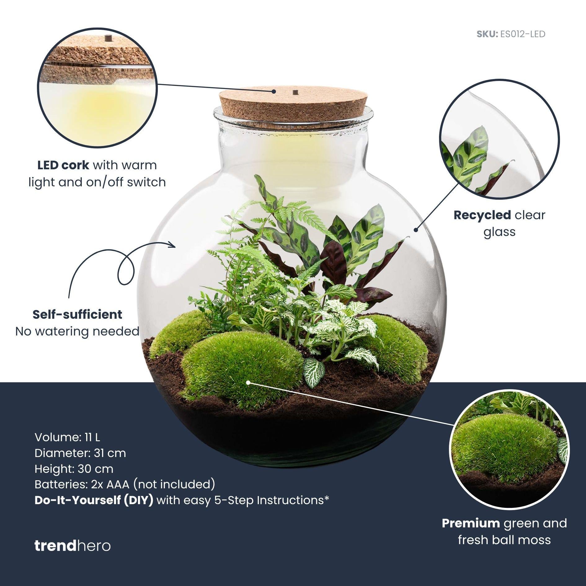 DIY Planten terrarium (met verlichting) - Bolder Bob - Ø 31 cm ↑ 30 cm - Met LED-kurk