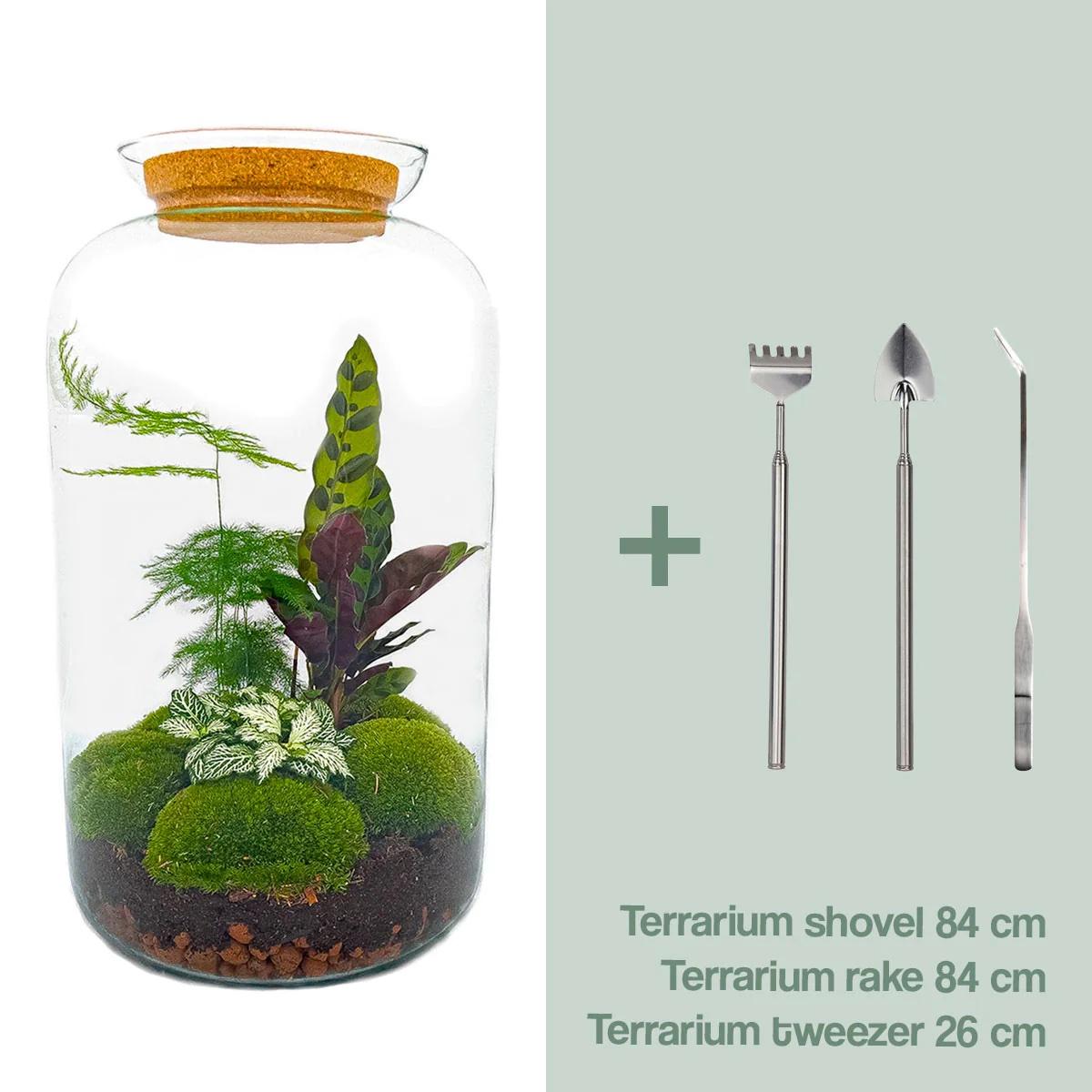 DIY Planten terrarium met licht - Sven XL Botanical - Ø 23 cm ↑ 43 cm - Rake + Shovel + Tweezer