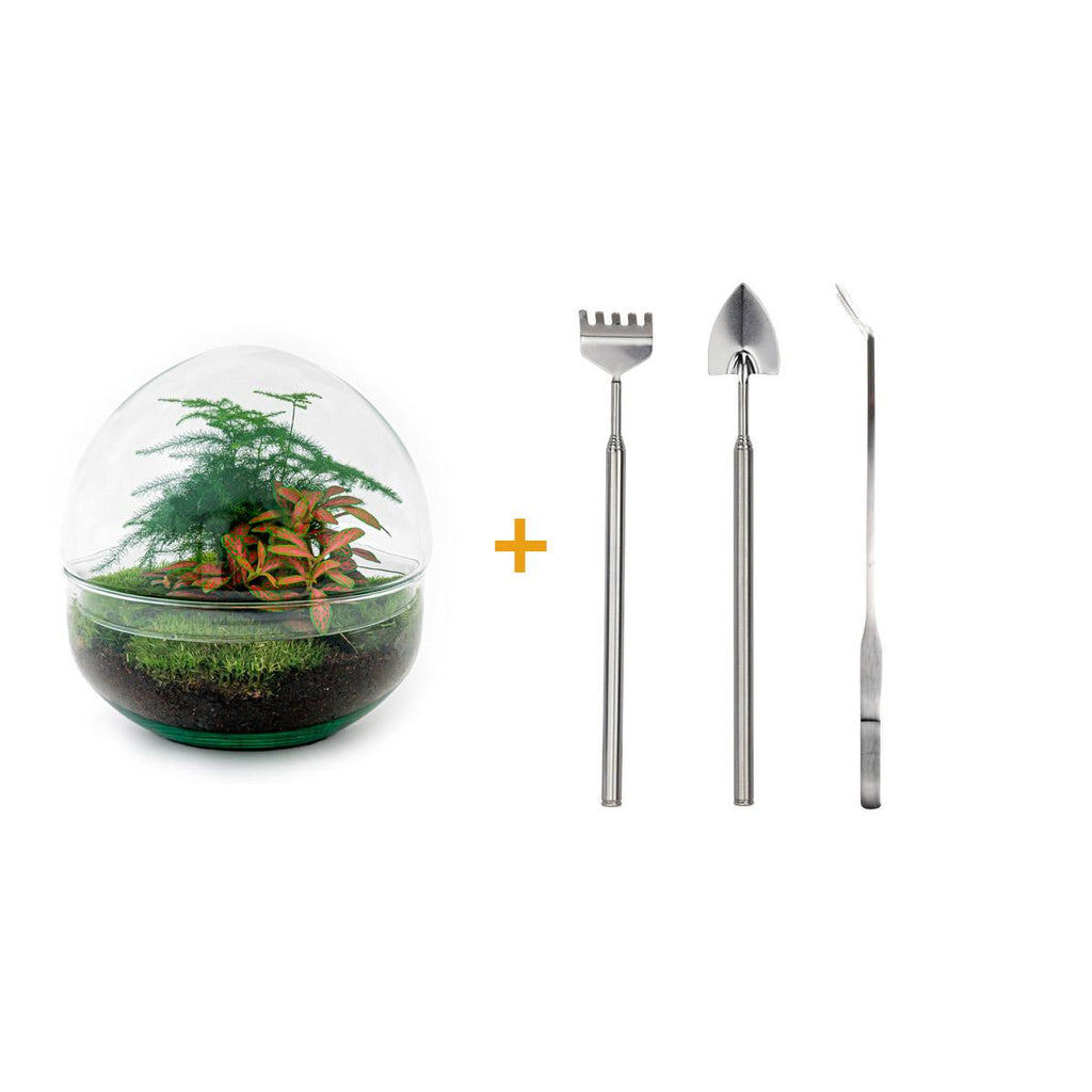 DIY Planten terrarium tweedelig bolglas - Dome Red - Ø 20 cm ↑ 20 cm   - Rake + Shovel + Tweezer