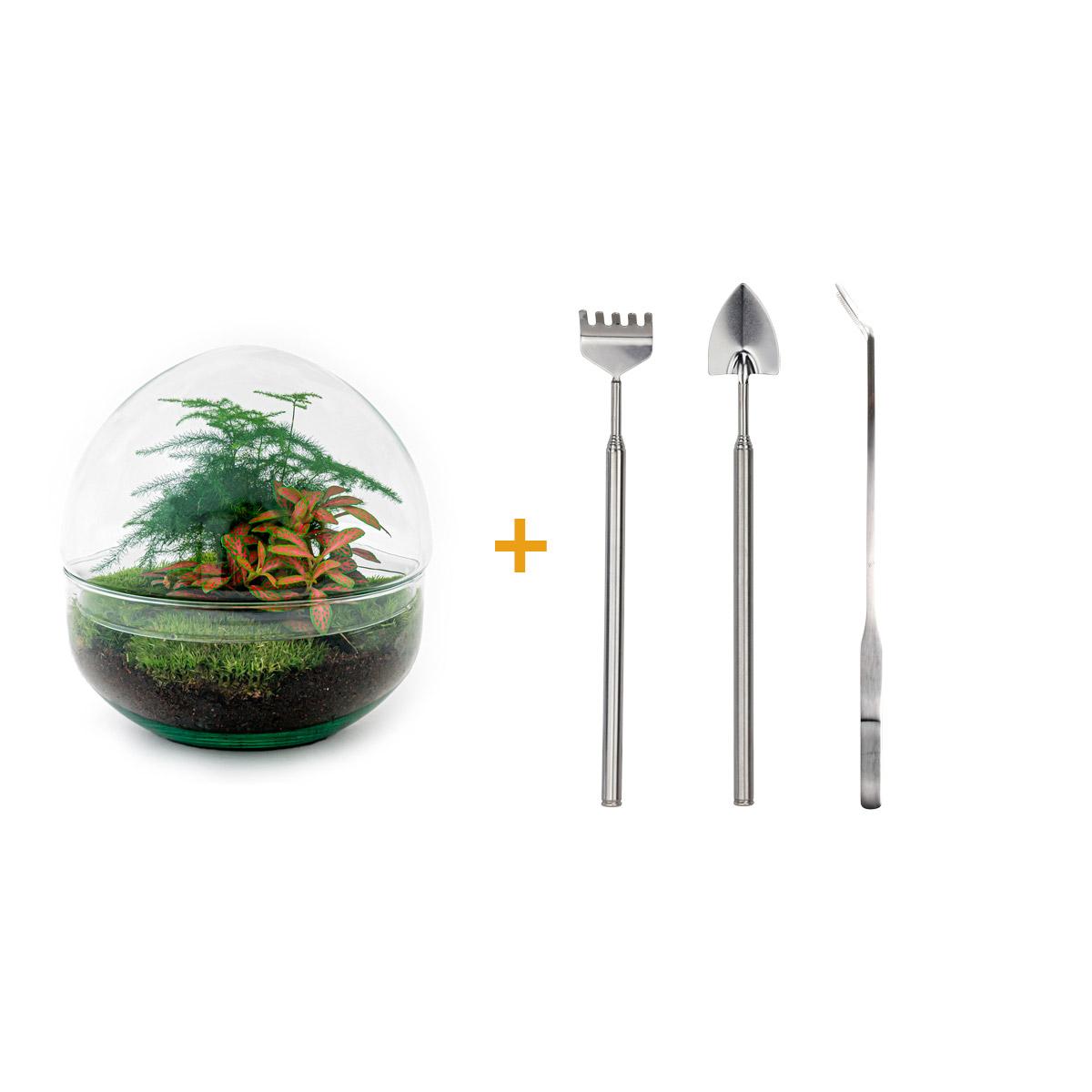DIY Planten terrarium tweedelig bolglas - Dome Red - Ø 20 cm ↑ 20 cm   - Rake + Shovel + Tweezer