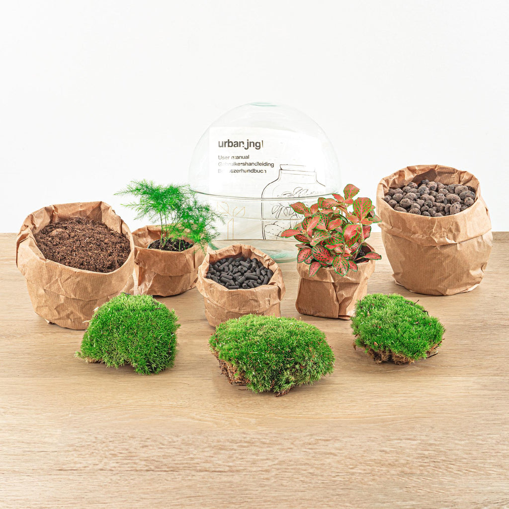 DIY Planten terrarium tweedelig bolglas - Dome Red - Ø 20 cm ↑ 20 cm   - Rake + Shovel + Tweezer + Scissors