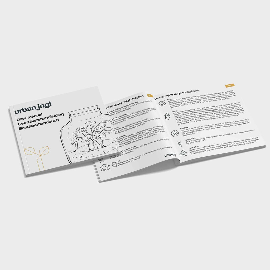 Planten terrarium navulling & startpakket - Calathea Lancifolia