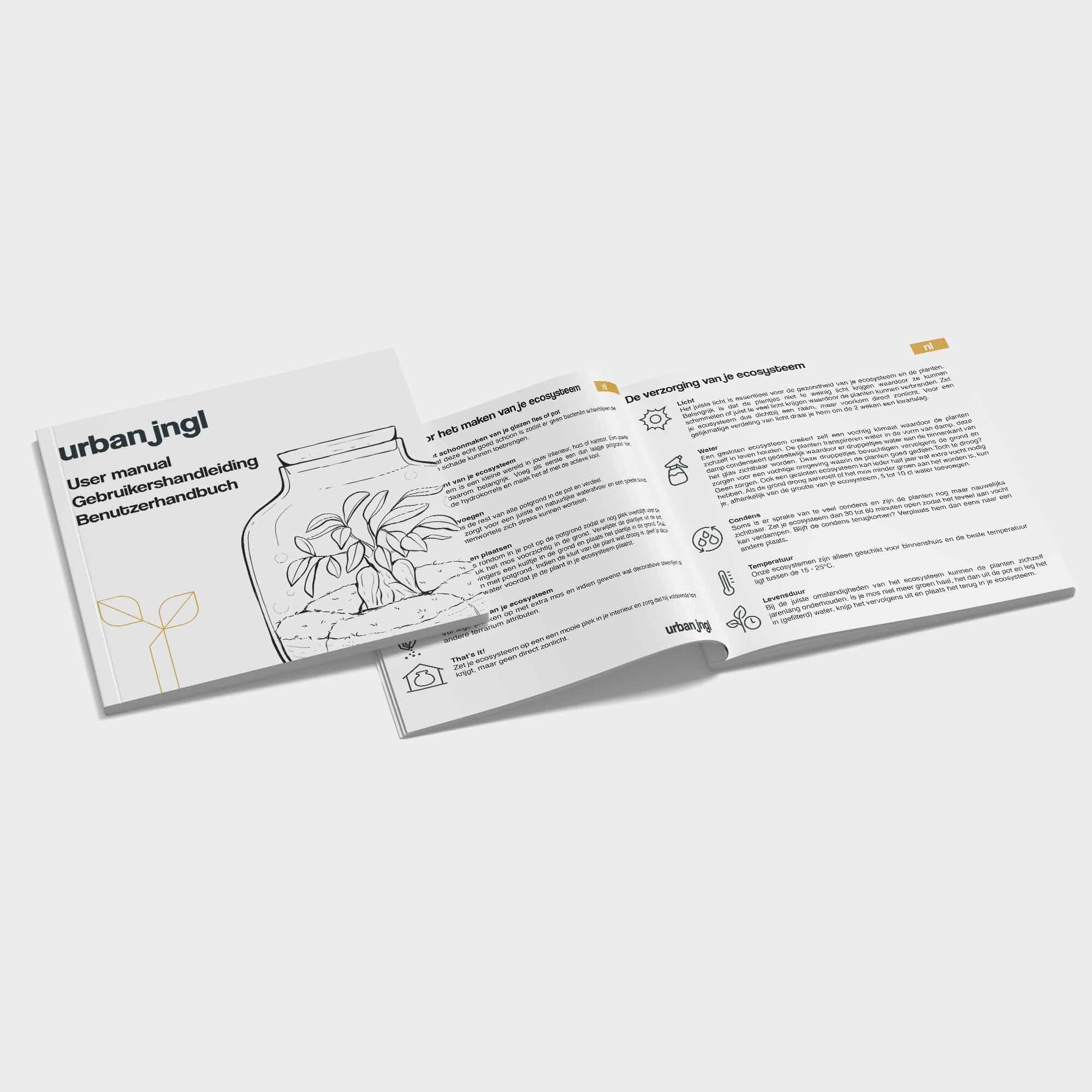 Planten terrarium navulling & startpakket - Calathea Lancifolia