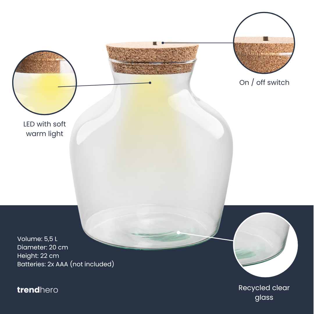 Terrarium fles met verlichting - Little Joe - Ø 20 cm ↑ 22 cm