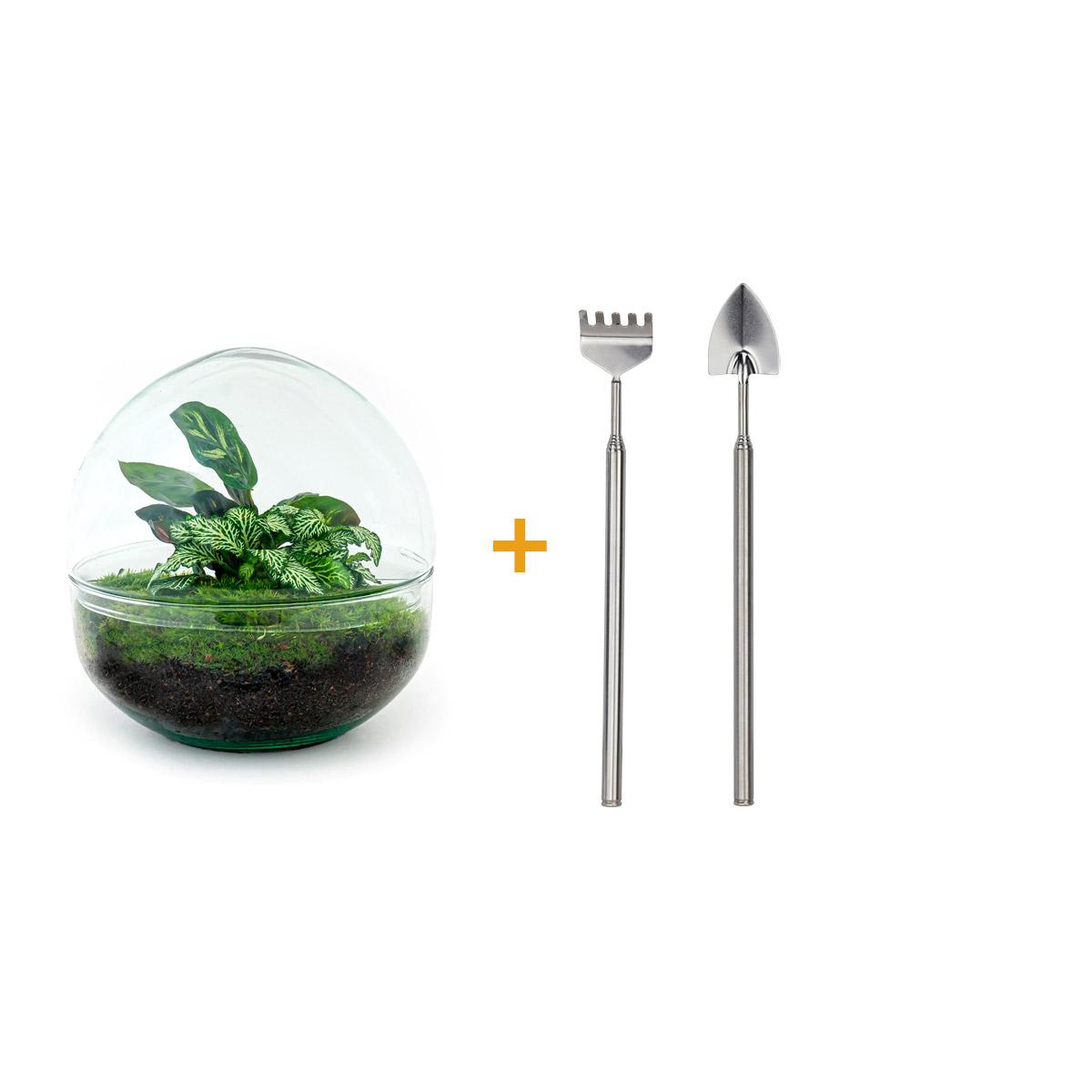 DIY Planten terrarium tweedelig bolglas - Dome - Ø 20 cm ↑ 20 cm - Rake + Shovel