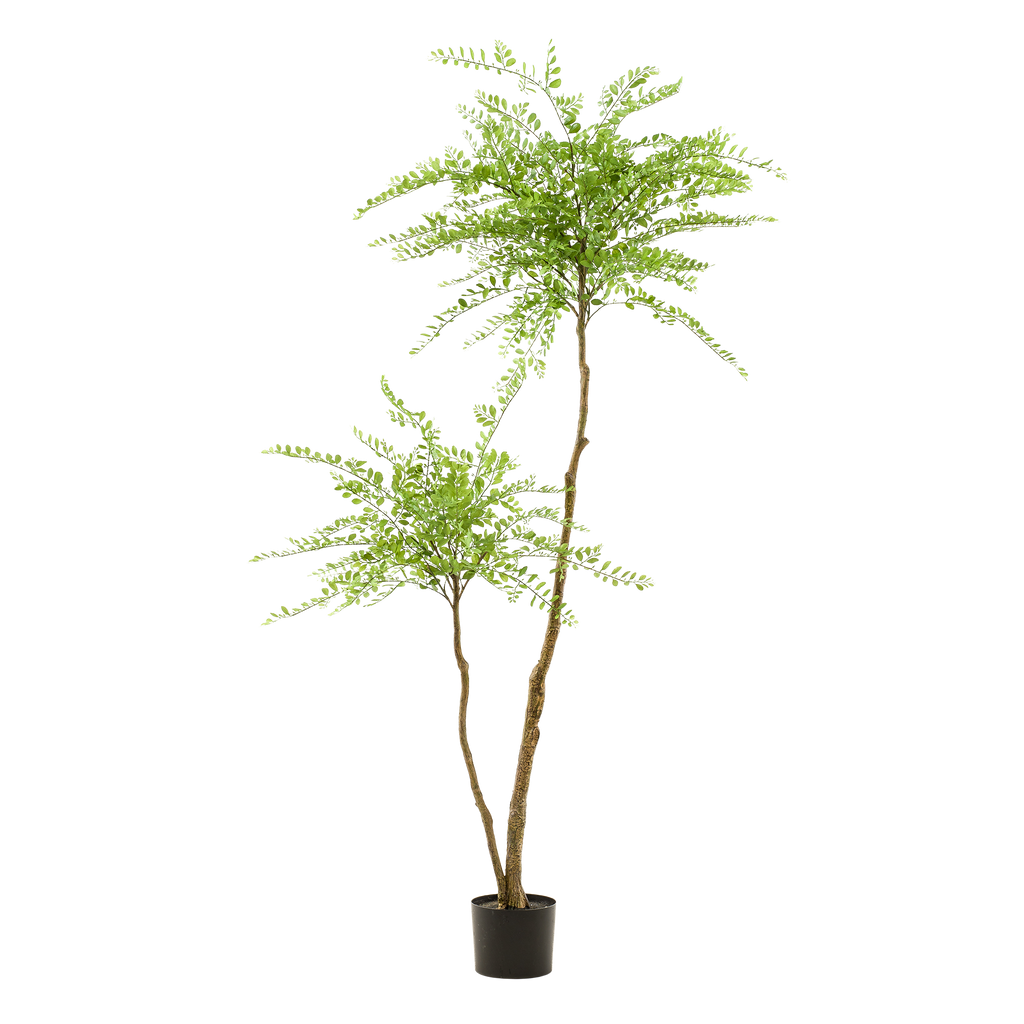 kunstplant - Sophora tree  - Honingboom - 190cm