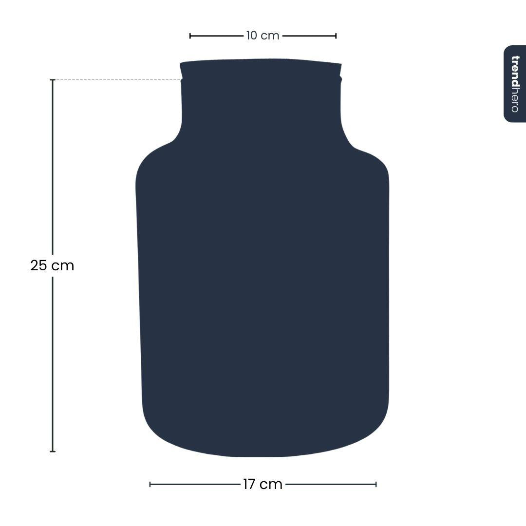 Frosty Kerstmis terrarium - Planten terrarium  DIY kit Christmas -  -  Ø 17 cm ↑ 25 cm