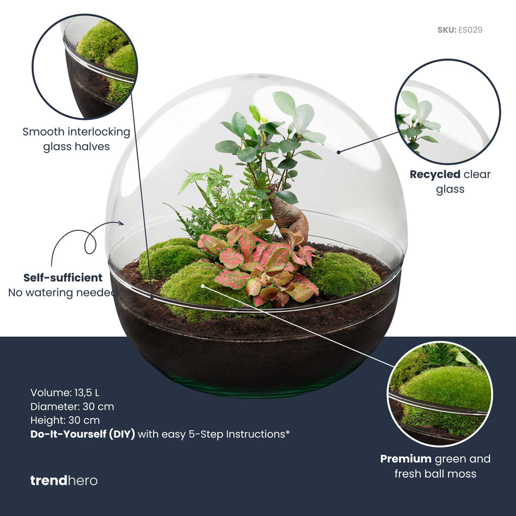 DIY Planten terrarium tweedelig bolglas - Dome XL Bonsai - Ø 28 cm ↑ 28 cm - No tools
