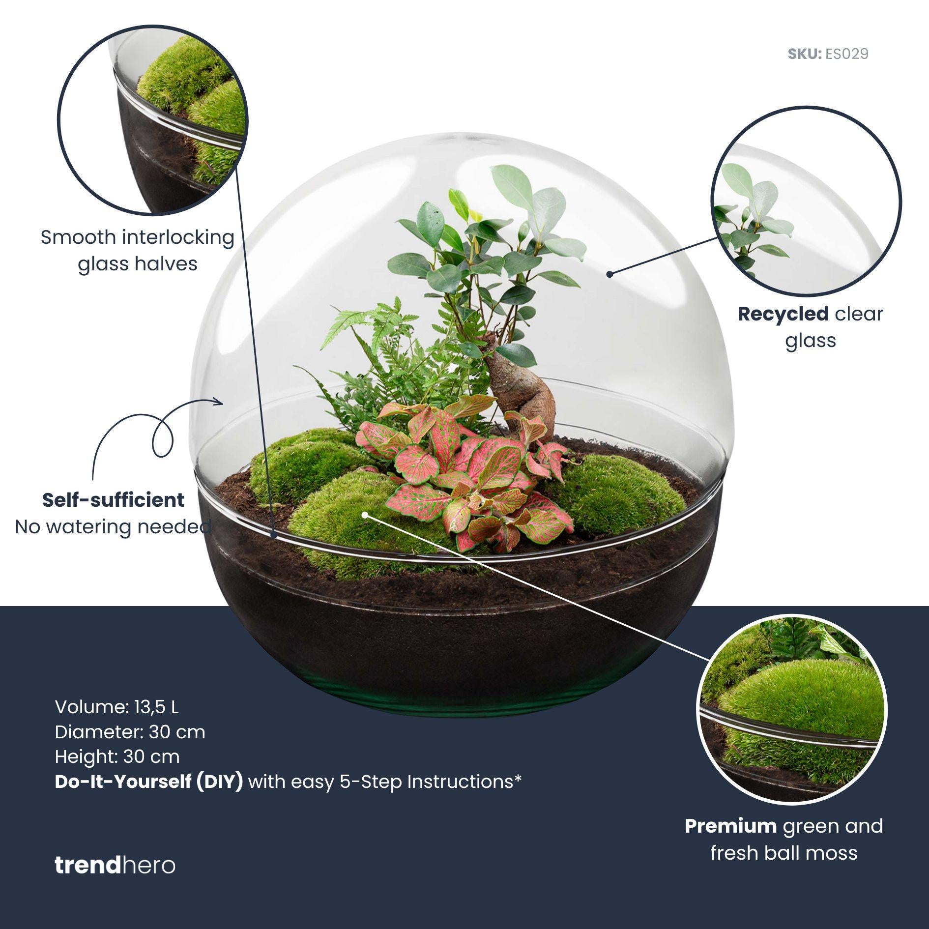 DIY Planten terrarium tweedelig bolglas - Dome XL Bonsai - Ø 28 cm ↑ 28 cm - No tools