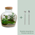 DIY Planten terrarium met licht -  Fat Joe - Ø 29 cm ↑ 30 cm - Rake + Shovel