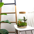 DIY Planten terrarium met licht - Milky - Ø 21 cm ↑ 30 cm - No tools
