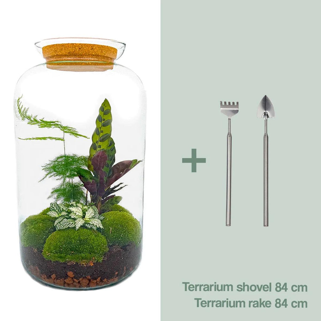 DIY Planten terrarium met licht - Sven XL Botanical - Ø 23 cm ↑ 43 cm - Rake + Shovel