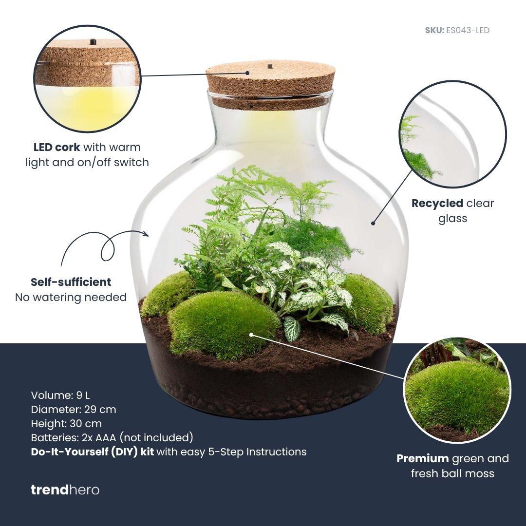 DIY Planten terrarium met licht - Fat Joe Green - Ø 29 cm ↑ 30 cm - No tools