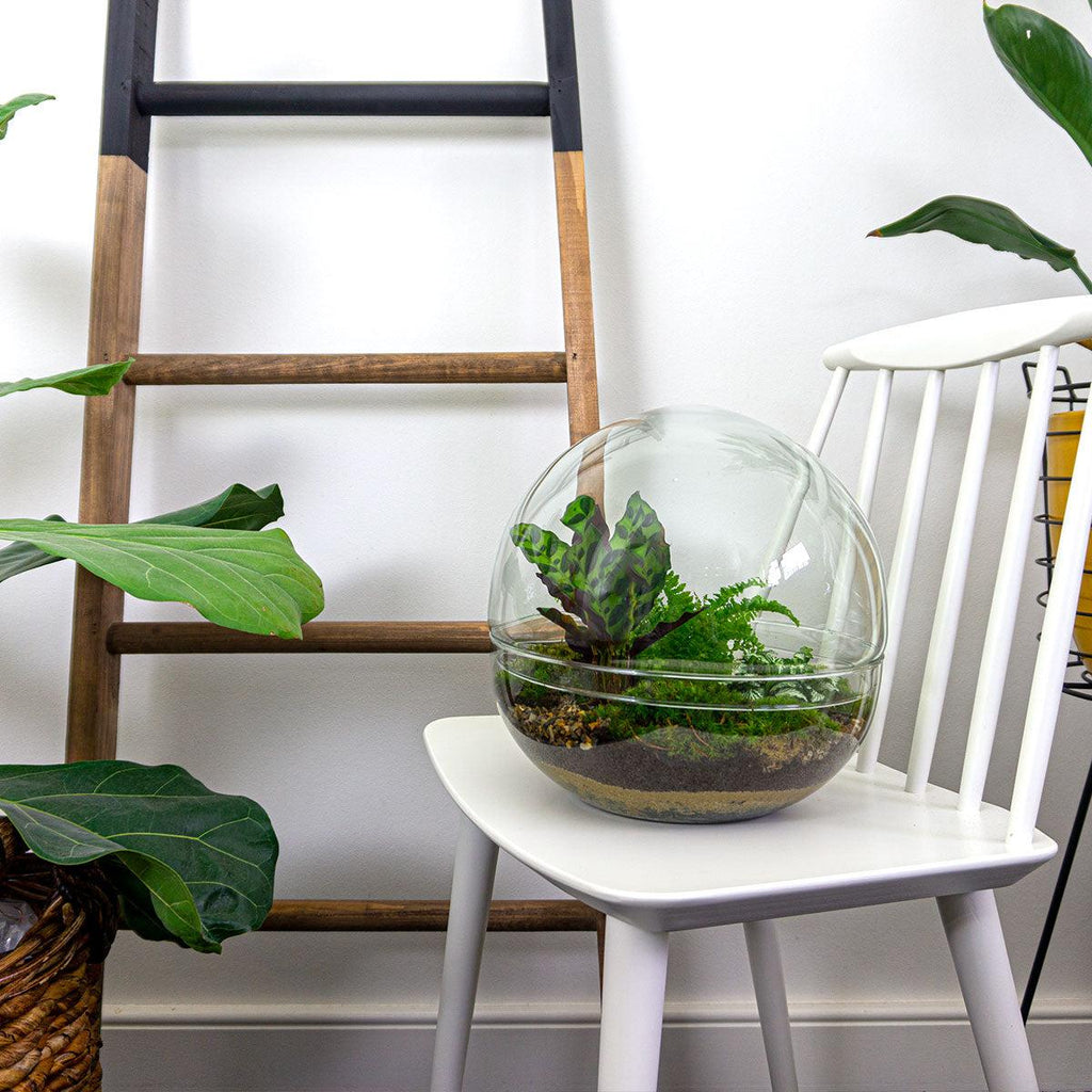 DIY Planten terrarium tweedelig bolglas - Dome XL -Ø 28 cm ↑ 28 cm - Rake + Shovel + Tweezer