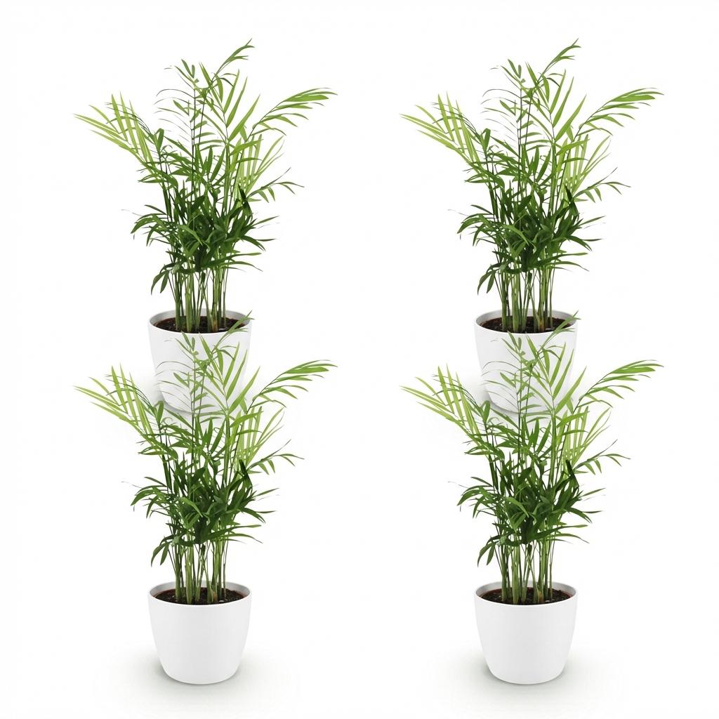 Green boutiQ - Kamerplant - Chamaedorea elegans - Goudpalm - Huisdiervriendelijke Plant - Groen - 4 Planten - met Potter Wit - Pot 12cm - Hoogte 15cm