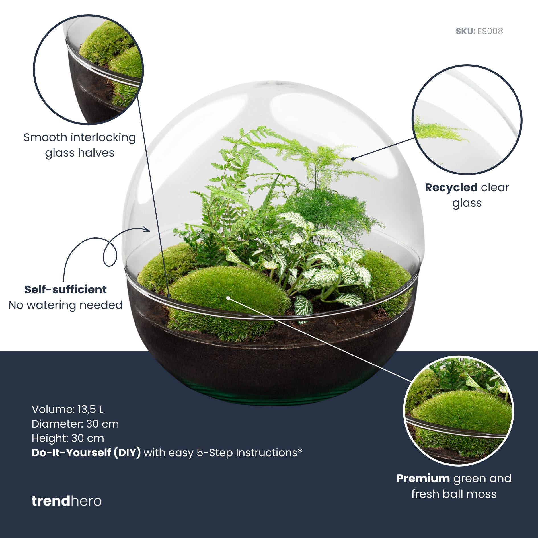 DIY Planten terrarium tweedelig bolglas - Dome XL -Ø 28 cm ↑ 28 cm - No tools