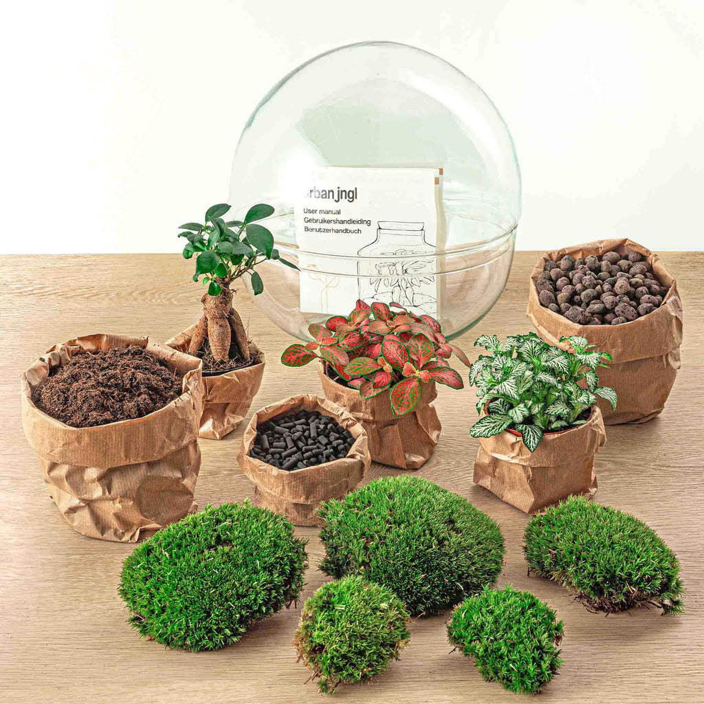 DIY Planten terrarium tweedelig bolglas - Dome XL Bonsai - Ø 28 cm ↑ 28 cm - Rake + Shovel