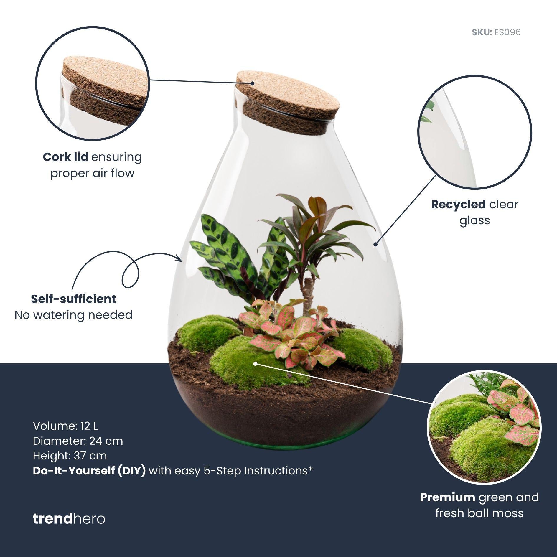 DIY Planten terrarium - Drop XL Palm - Ø 24 cm ↑ 37 cm - No tools