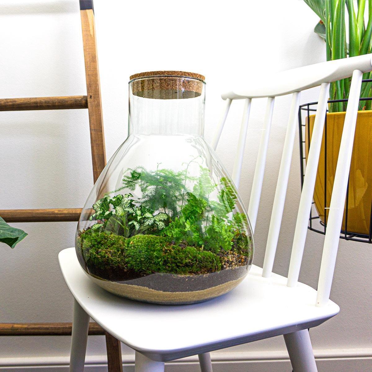 DIY Planten terrarium met licht - Sam XL Green - Ø 30 cm ↑ 32 cm - Rake + Shovel + Tweezer