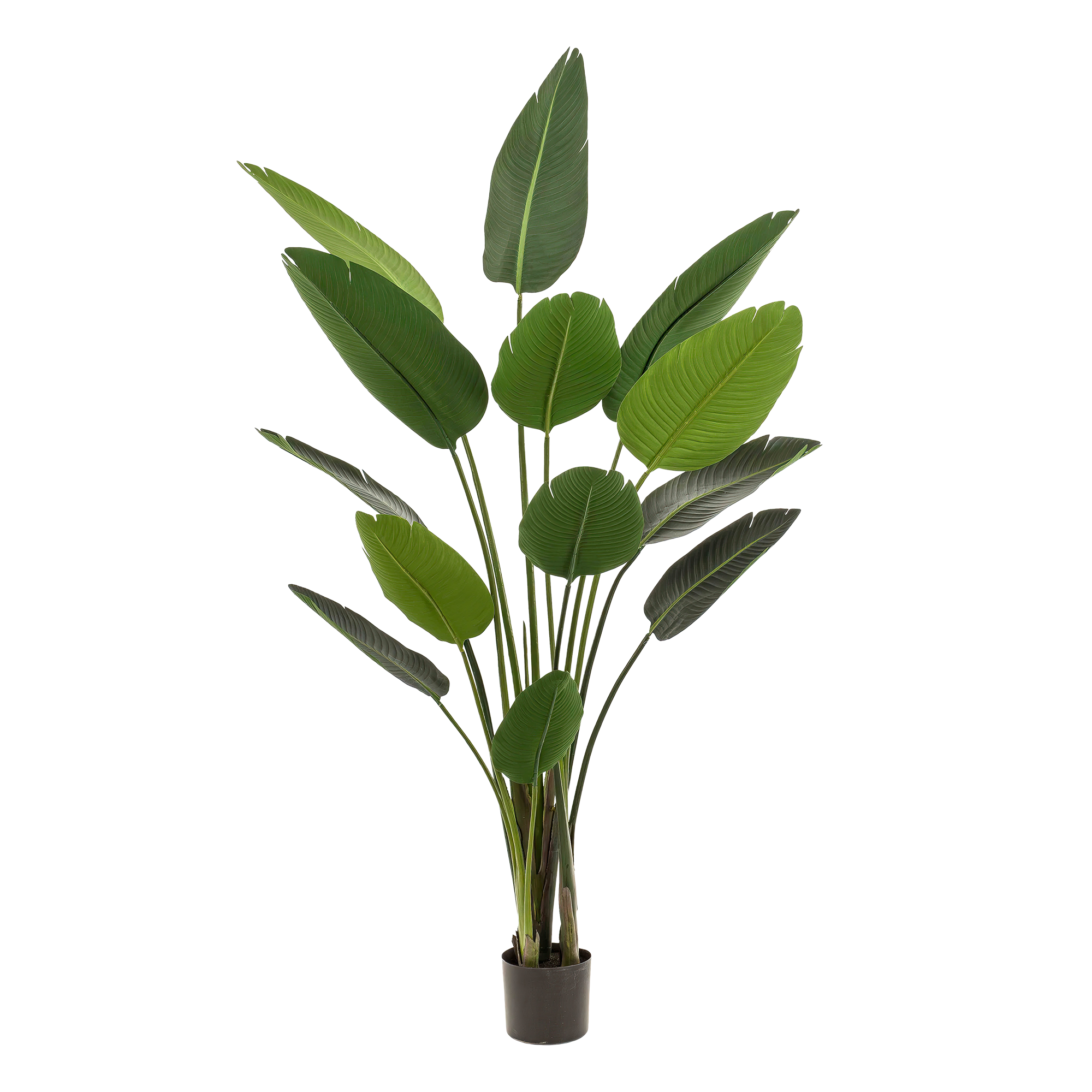 Kunstplant - Strelitzia Nicolai - Paradijsvogelbloem - 190 cm