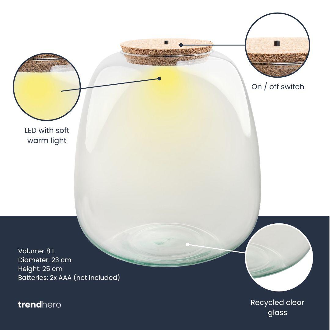 Terrarium fles met verlichting - Emma - Ø 23 cm ↑ 25 cm
