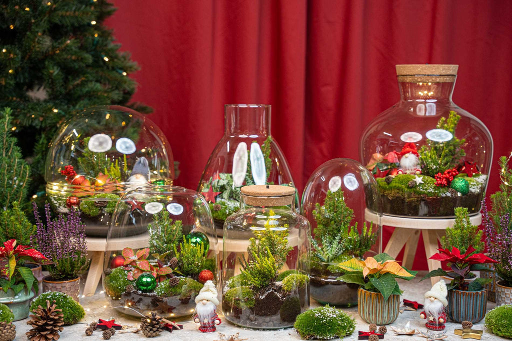 Tinsel Kerstmis terrarium - Planten terrarium  - DIY kit Christmas - Ø 19 cm ↑ 20 cm