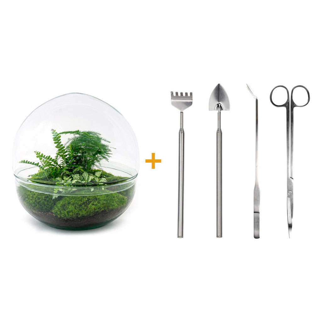 DIY Planten terrarium tweedelig bolglas - Dome XL -Ø 28 cm ↑ 28 cm - Rake + Shovel + Tweezer + Scissors