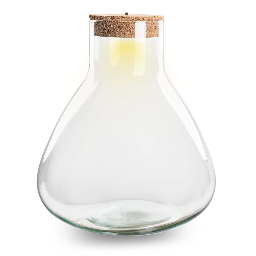 Terrarium fles met verlichting - Sam XL - Ø 30 cm ↑ 32 cm