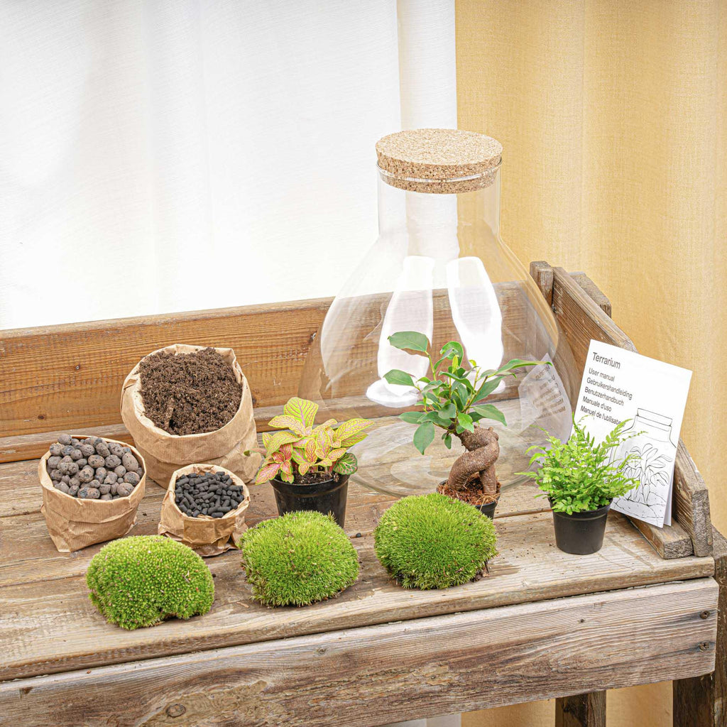 DIY planten terrarium met licht - Sam XL Bonsai - Ø 30 cm ↑ 32 cm