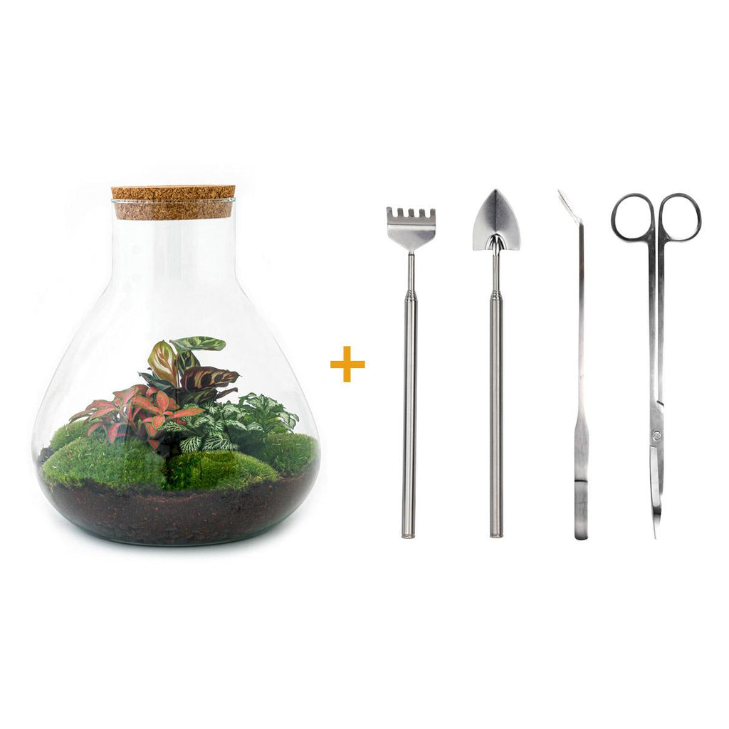 DIY Planten terrarium met licht - Sam XL Red - Ø 30 cm ↑ 32 cm - Rake + Shovel + Tweezer + Scissors