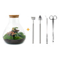 DIY Planten terrarium met licht - Sam XL Red - Ø 30 cm ↑ 32 cm - Rake + Shovel + Tweezer + Scissors