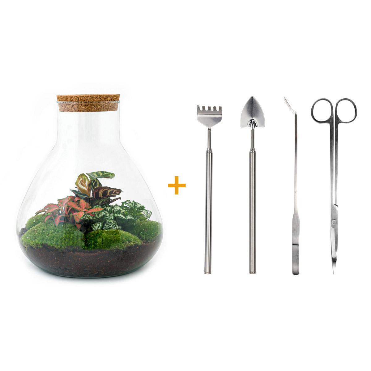 DIY Planten terrarium met licht - Sam XL Red - Ø 30 cm ↑ 32 cm - Rake + Shovel + Tweezer + Scissors