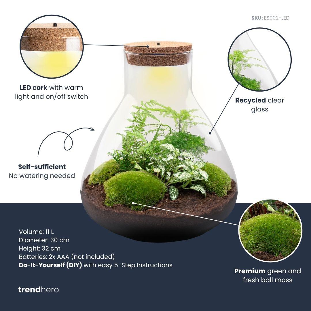 DIY Planten terrarium met licht - Sam XL Green - Ø 30 cm ↑ 32 cm - No tools