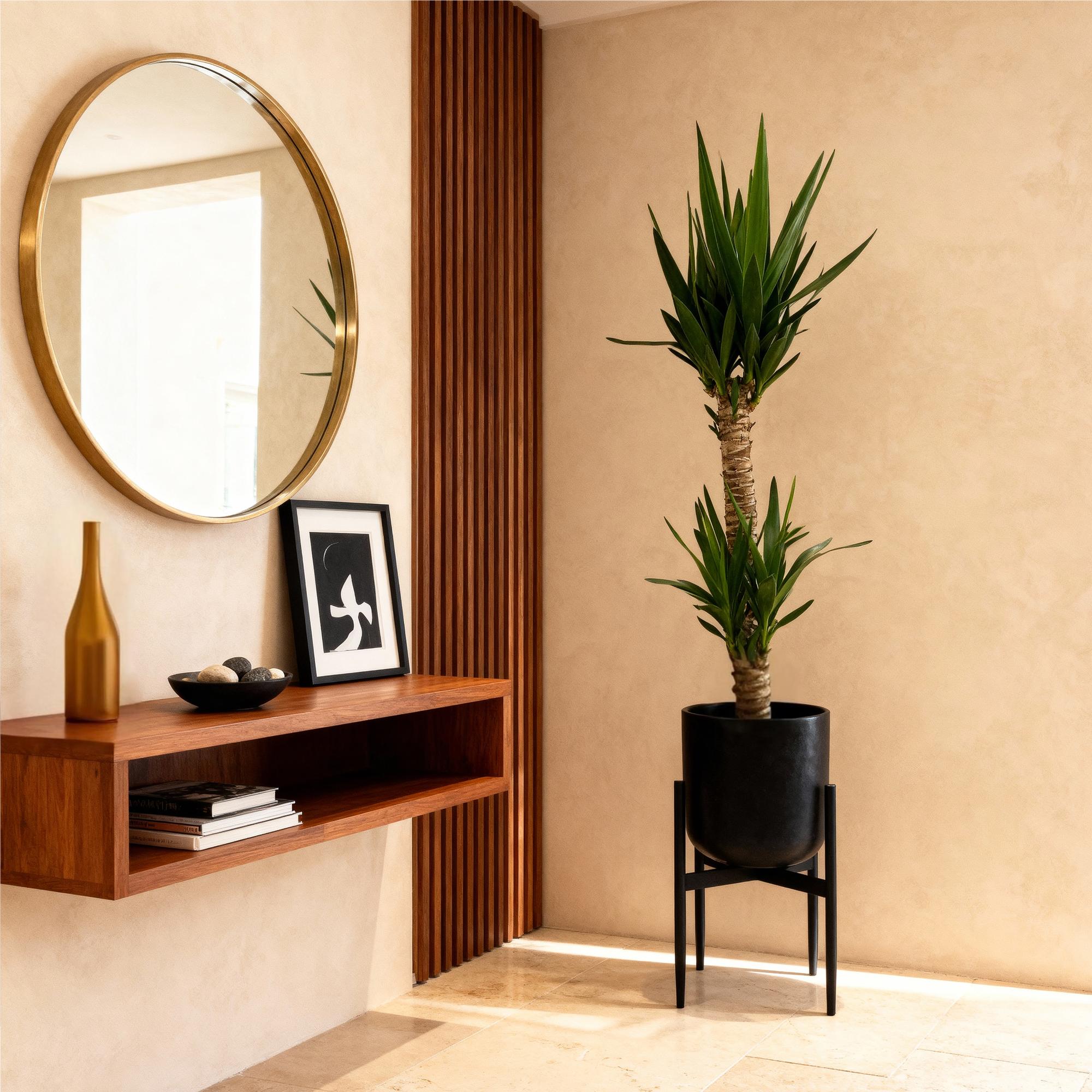 Green boutiQ - Kamerplant - Yucca elephantipes - Yucca - Weinig onderhoud - Groen - 2 - Pot 19cm - Hoogte 120cm