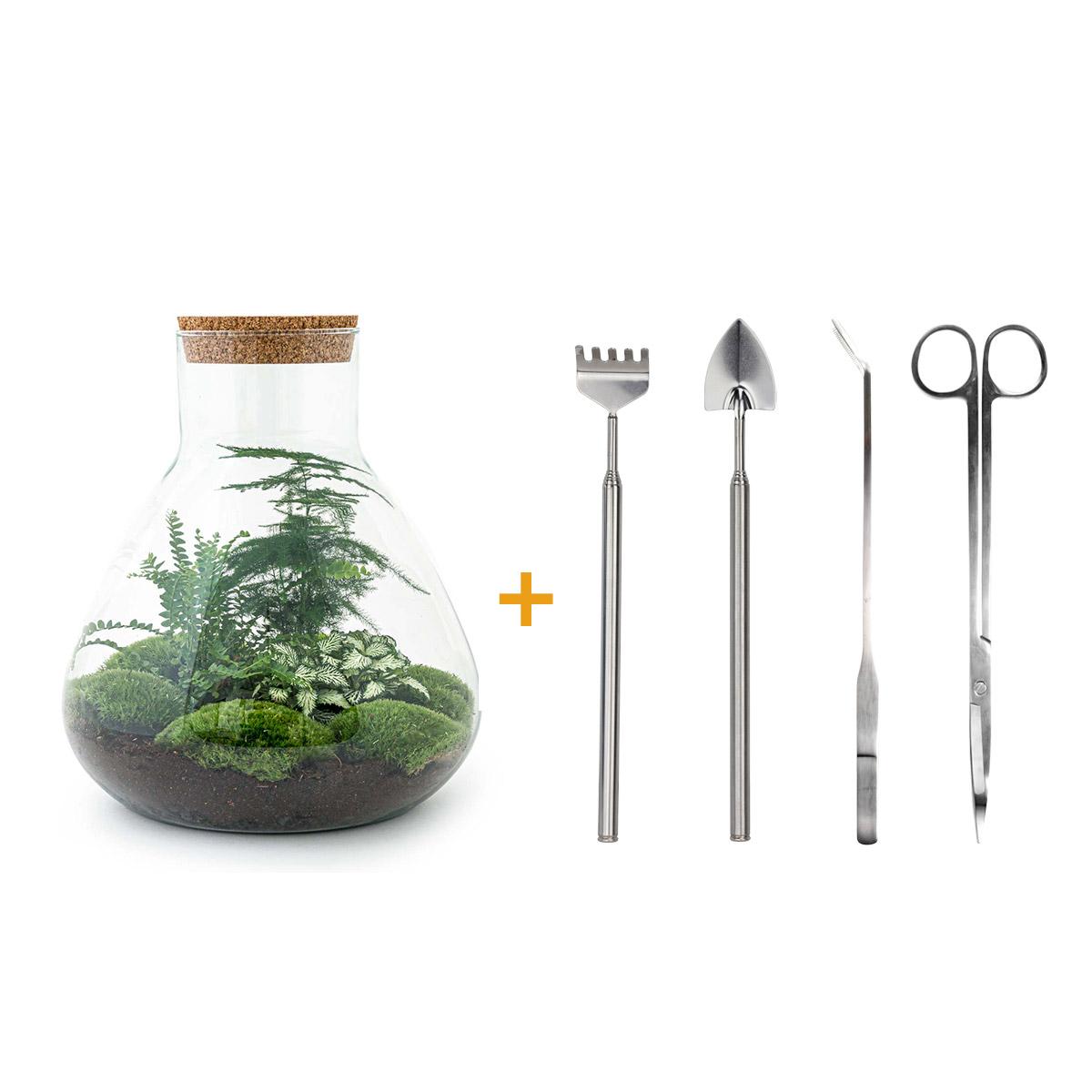 DIY Planten terrarium met licht - Sam XL Green - Ø 30 cm ↑ 32 cm - Rake + Shovel + Tweezer + Scissors
