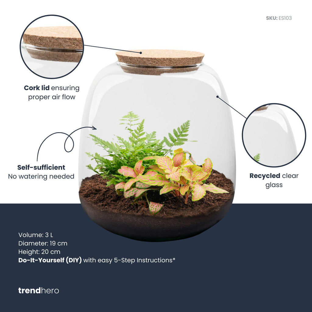 Planten terrarium - Emma Mini - DIY kit - ↑ 20 cm - Ø 19 cm - Fittona Ruby Lime