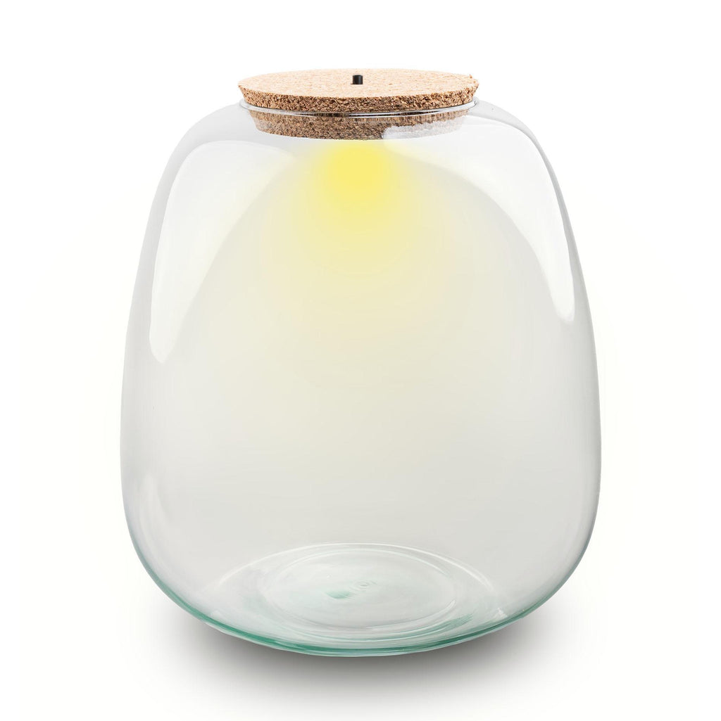 Terrarium fles met verlichting - Emma - Ø 23 cm ↑ 25 cm