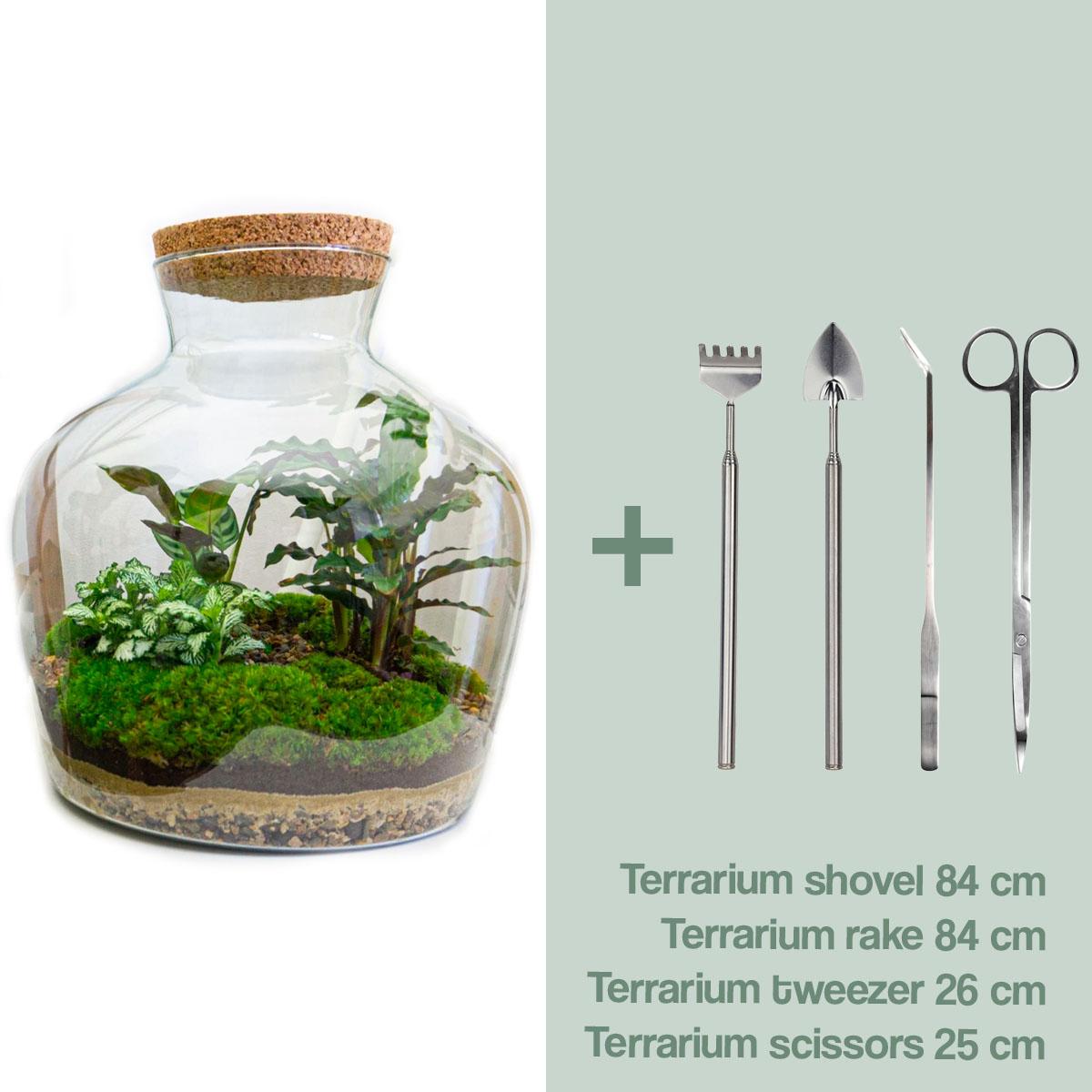 DIY Planten terrarium met licht -  Fat Joe - Ø 29 cm ↑ 30 cm - Rake + Shovel + Tweezer + Scissors