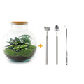 DIY Planten terrarium (met verlichting) - Bolder Bob - Ø 31 cm ↑ 30 cm - Rake + Shovel + Tweezer