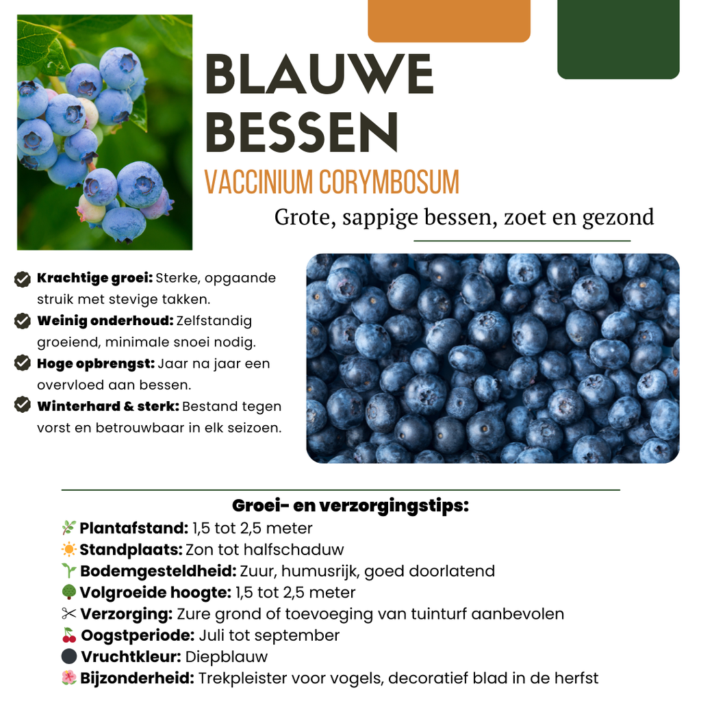 "Vruchten oase" BIO Fruitplanten mix set van 5 verschillende soorten