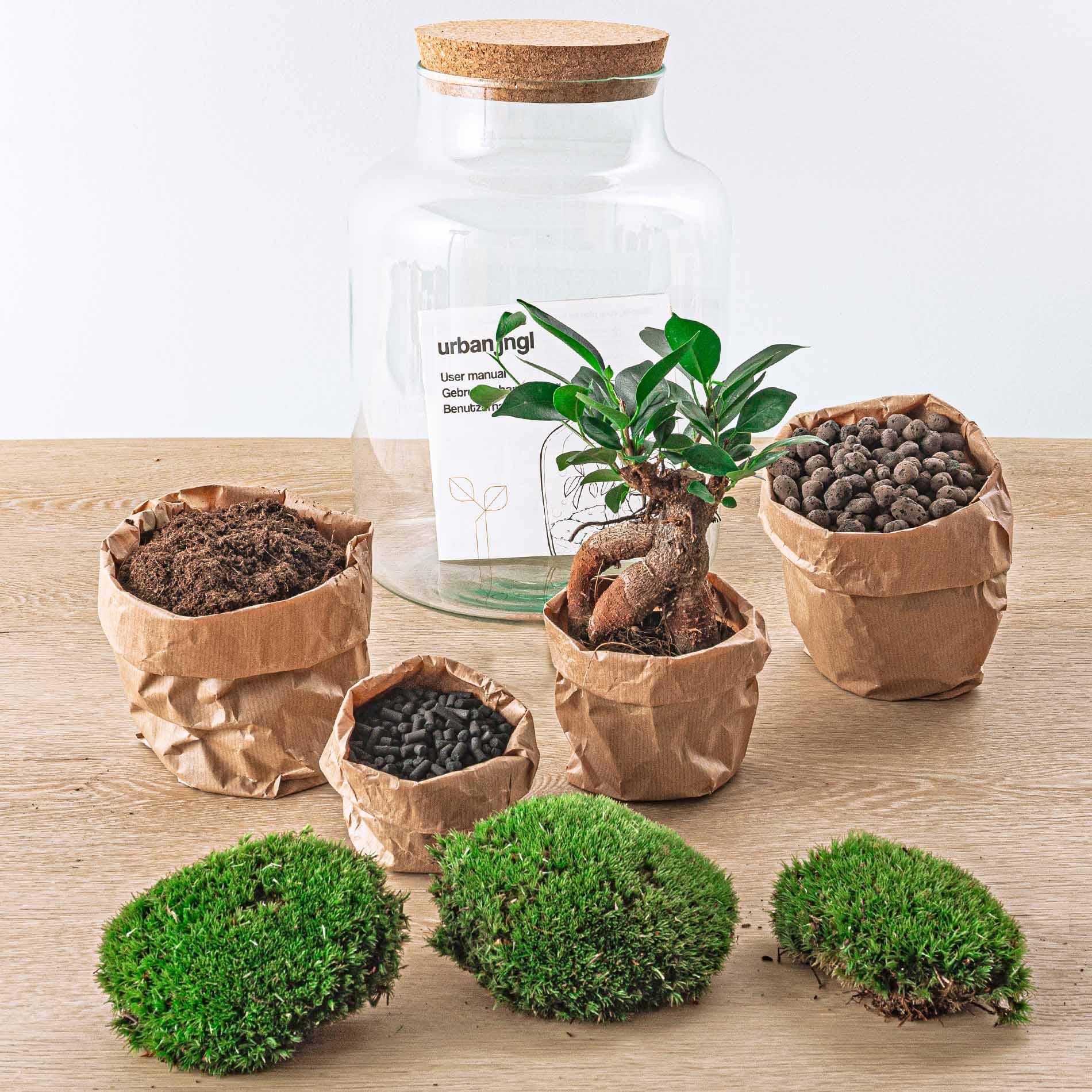 DIY Planten terrarium met licht - Milky Bonsai - Ø 21 cm ↑ 30 cm - Rake + Shovel + Tweezer