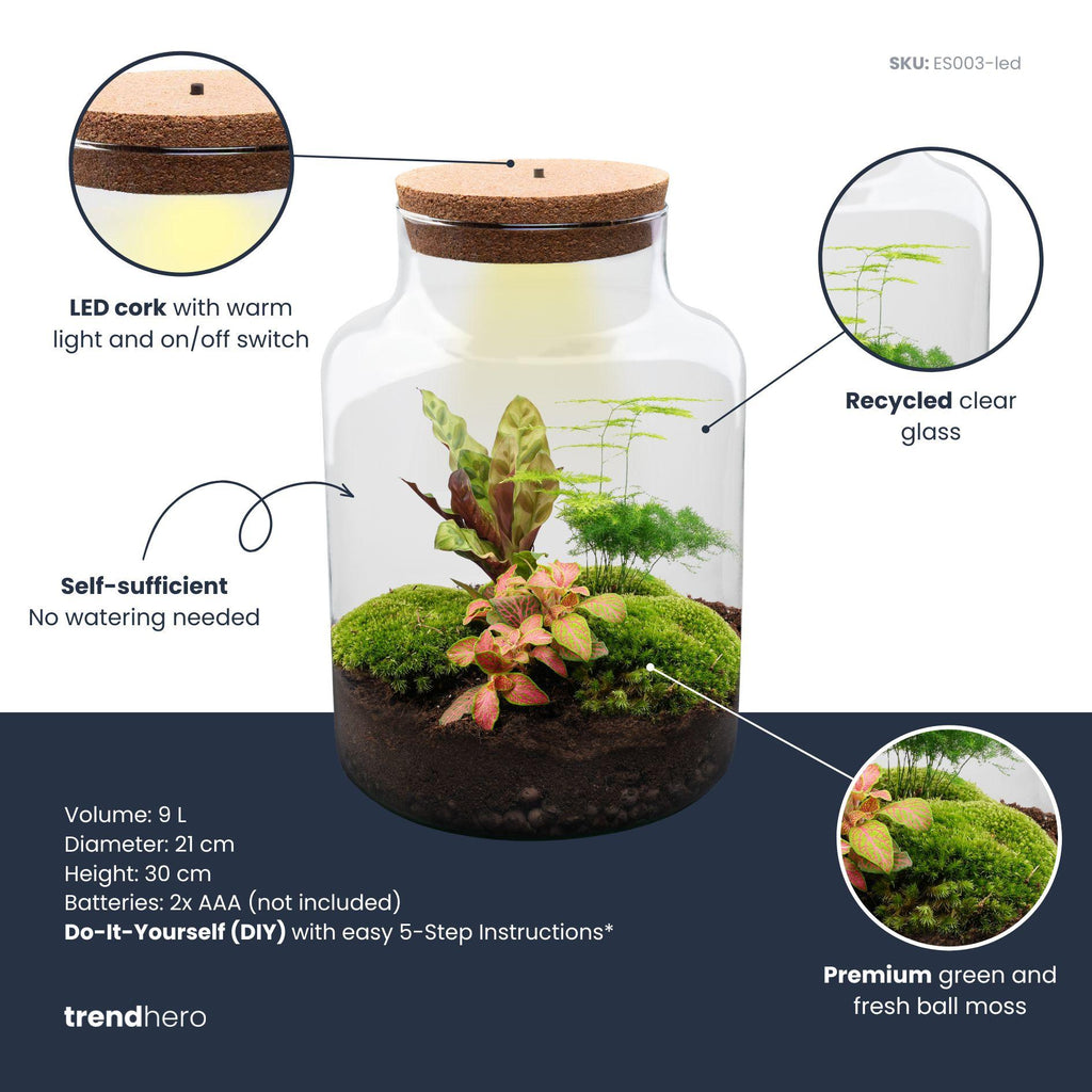 DIY Planten terrarium met licht - Milky - Ø 21 cm ↑ 30 cm - No tools