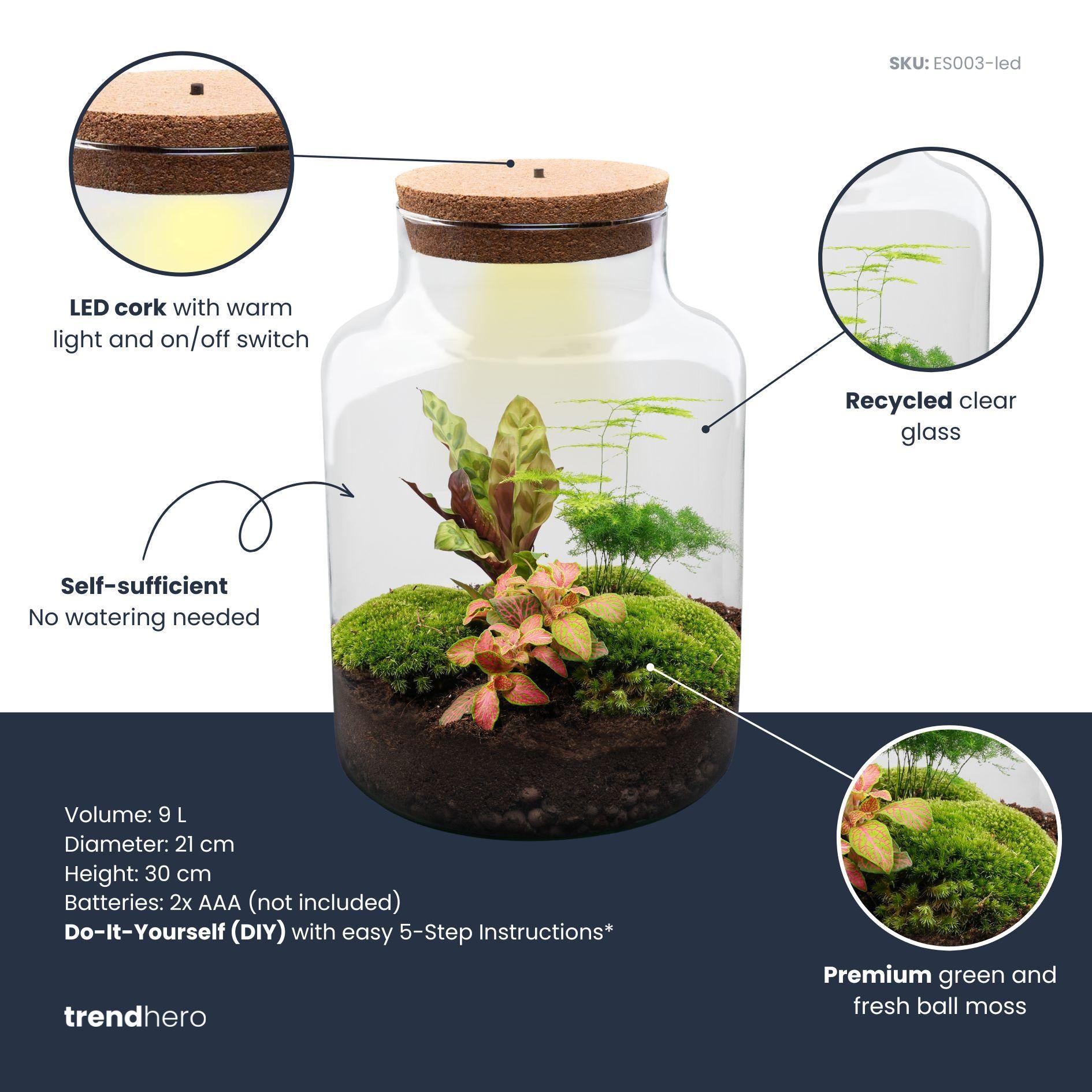 DIY Planten terrarium met licht - Milky - Ø 21 cm ↑ 30 cm - No tools