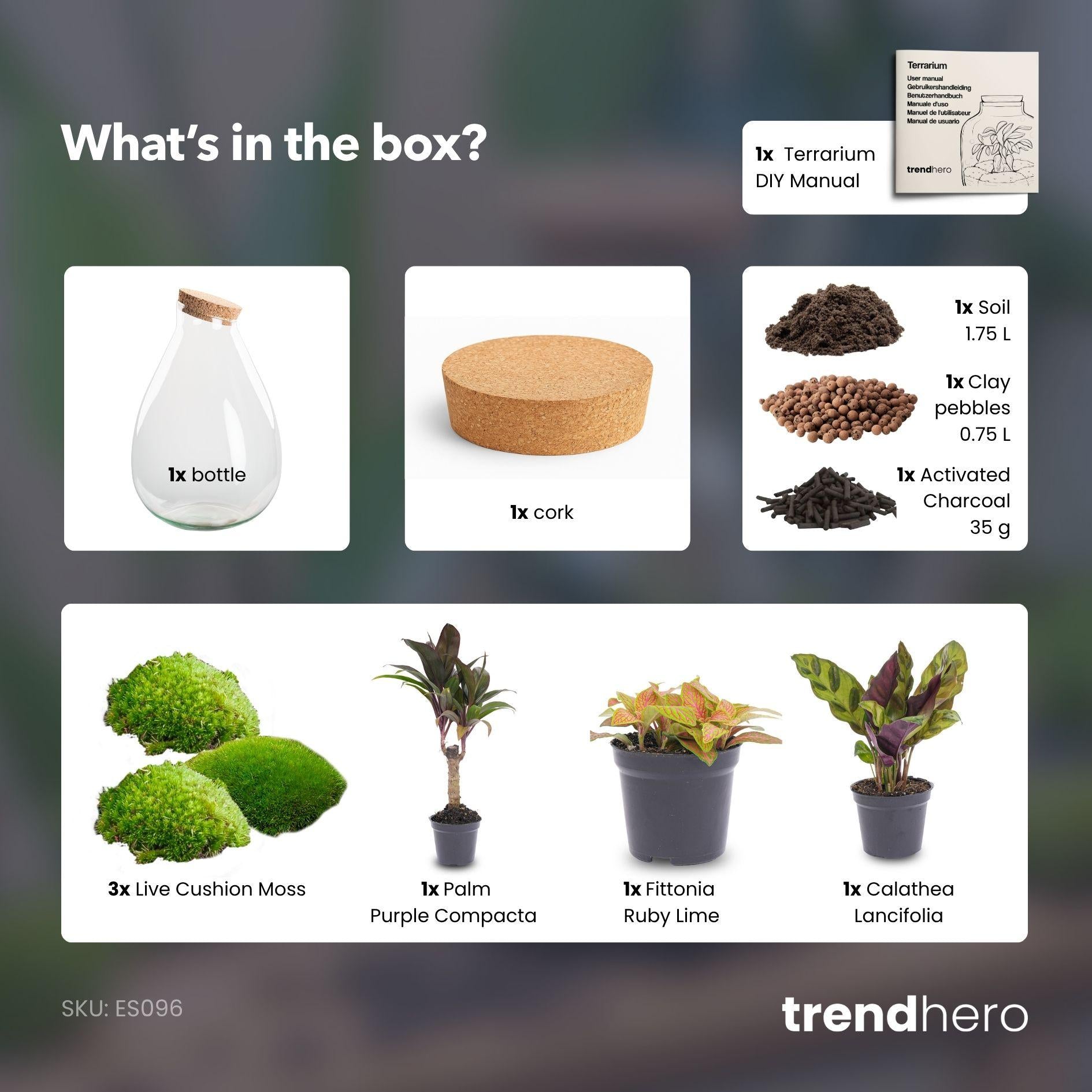 DIY Planten terrarium - Drop XL Palm - Ø 24 cm ↑ 37 cm - No tools