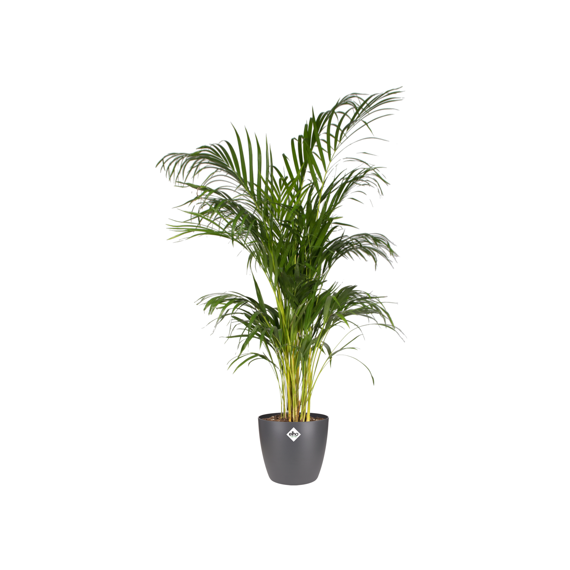 Pot elho Brussels Round Antraciet D20 x H19