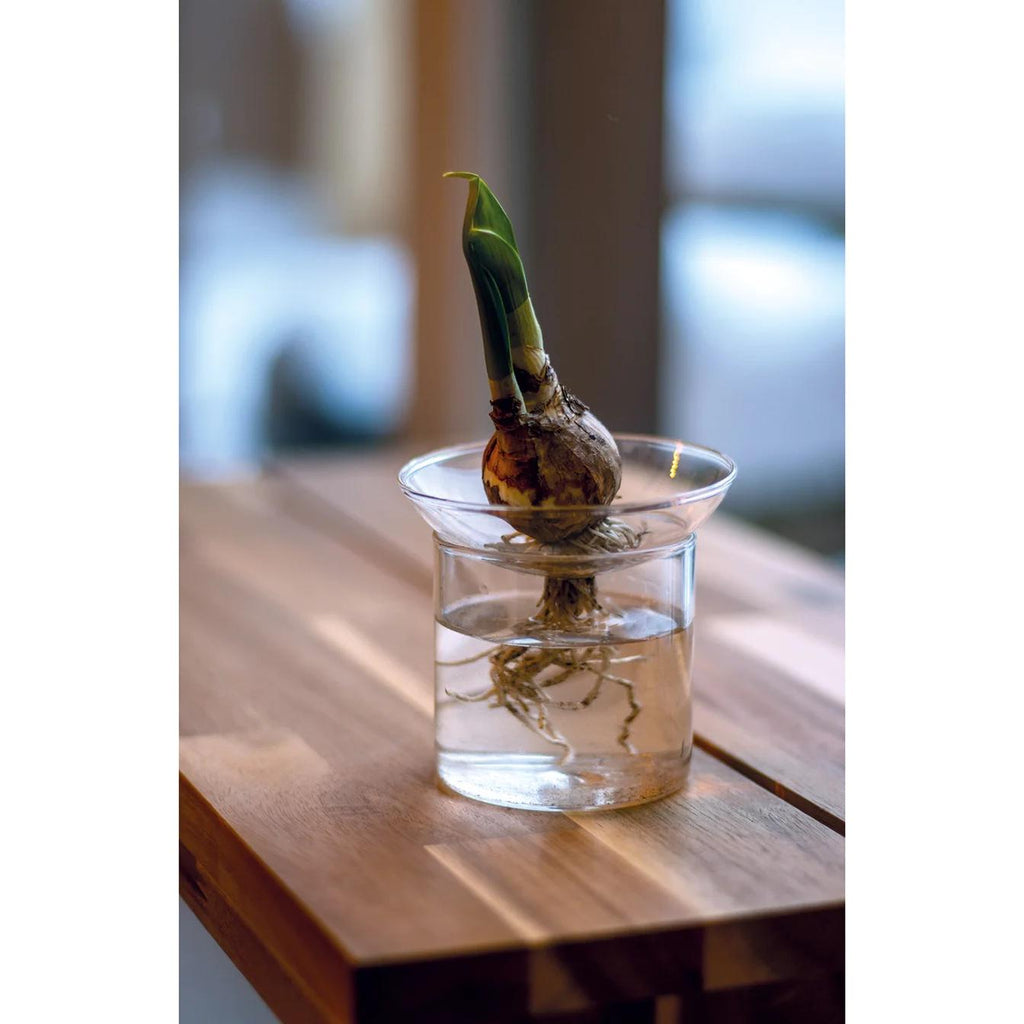 Propagation vase S - Ø 9 cm ↕ 8 cm