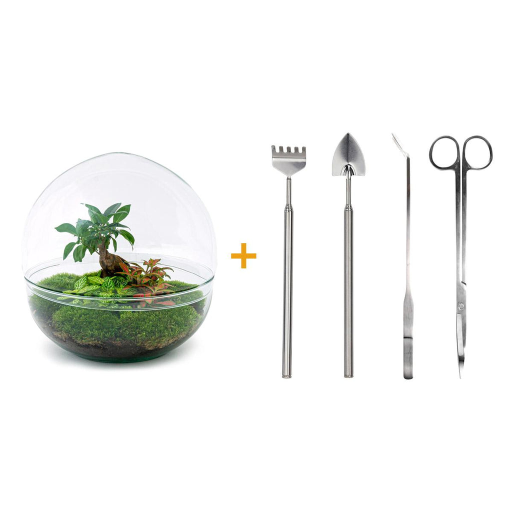 DIY Planten terrarium tweedelig bolglas - Dome XL Bonsai - Ø 28 cm ↑ 28 cm - Rake + Shovel + Tweezer + Scissors