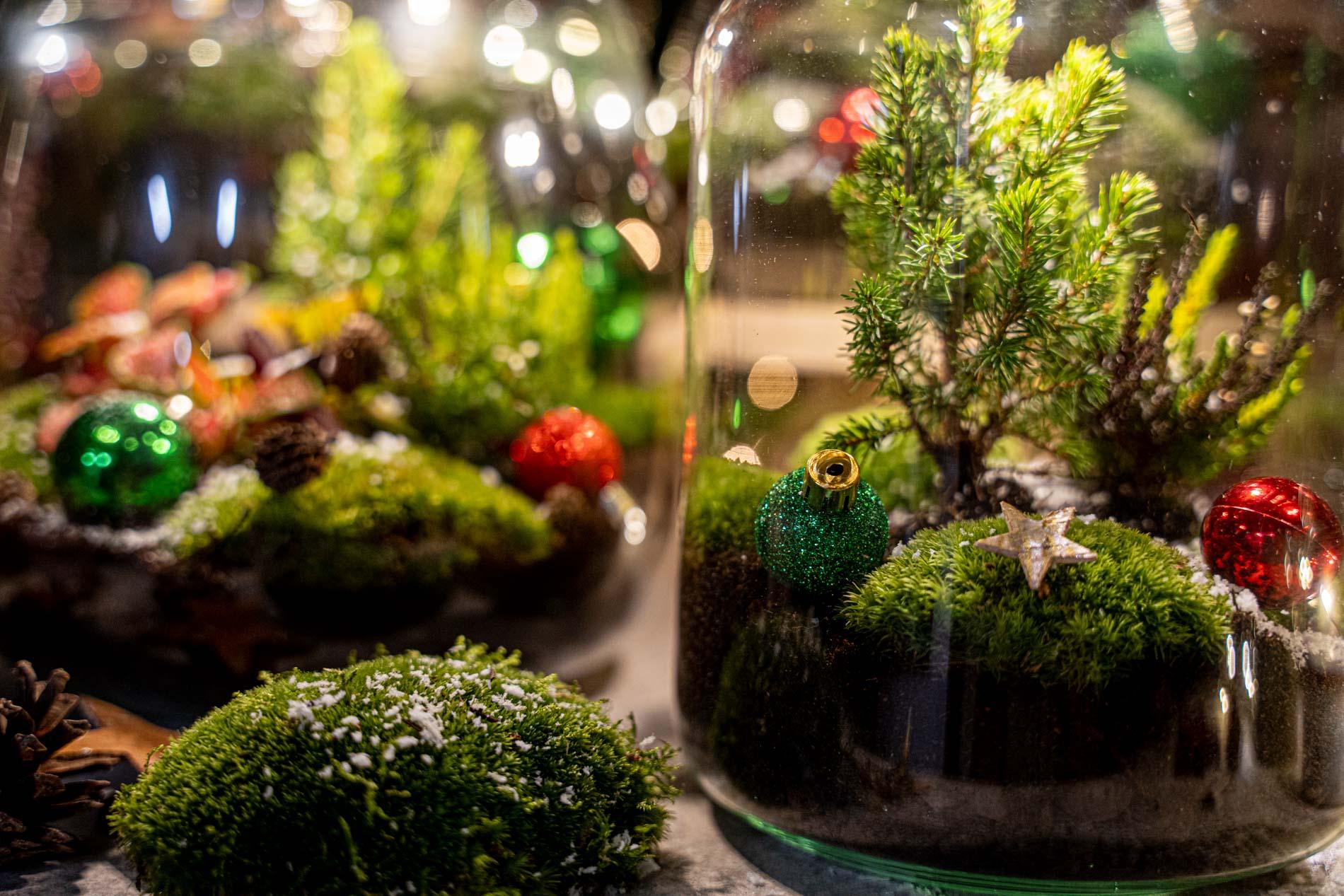 Tinsel Kerstmis terrarium - Planten terrarium  - DIY kit Christmas - Ø 19 cm ↑ 20 cm