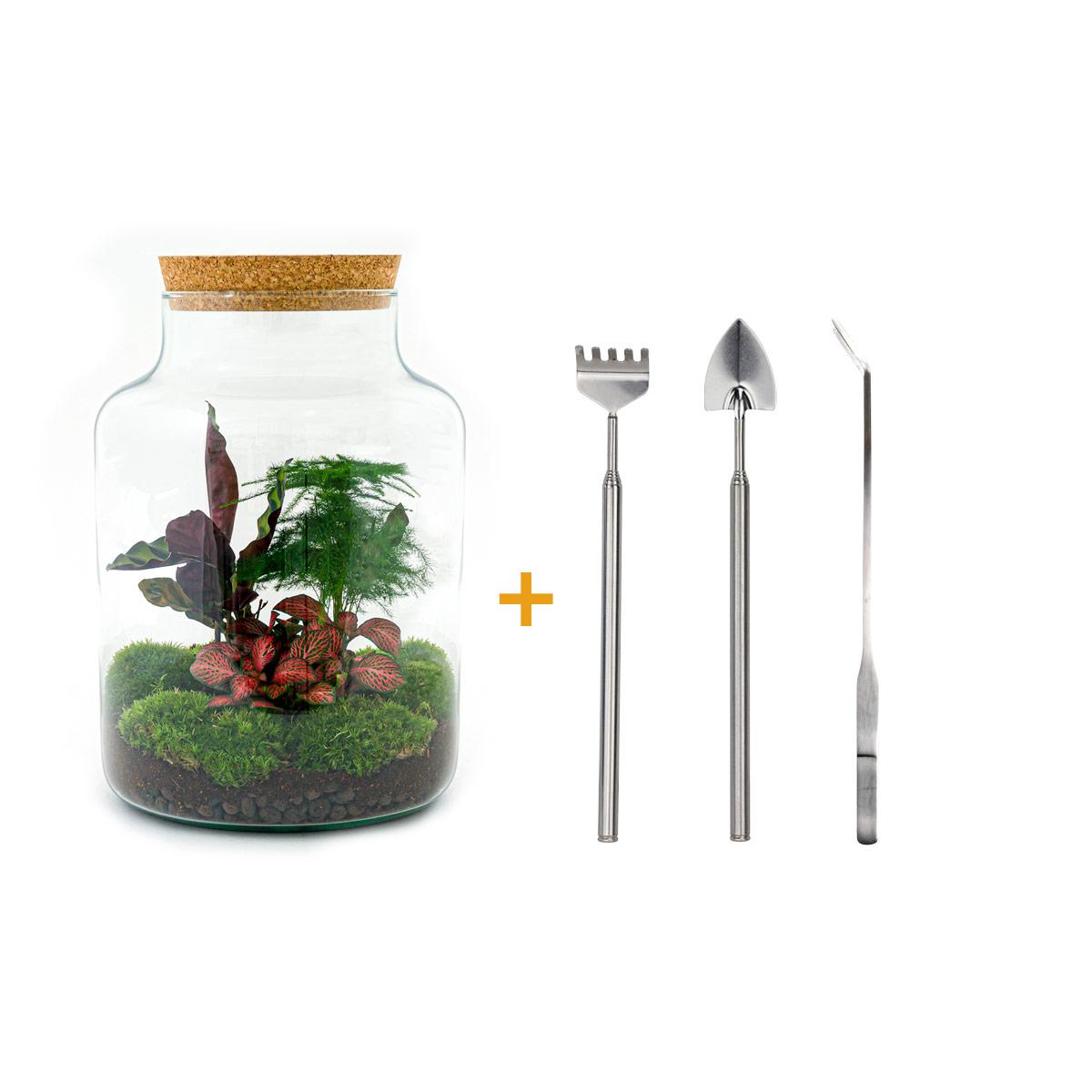 DIY Planten terrarium met licht - Milky - Ø 21 cm ↑ 30 cm - Rake + Shovel + Tweezer